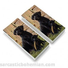 Black Labrador Retriever Dog Puppy Eraser Set of 2 B07CRSDZ13